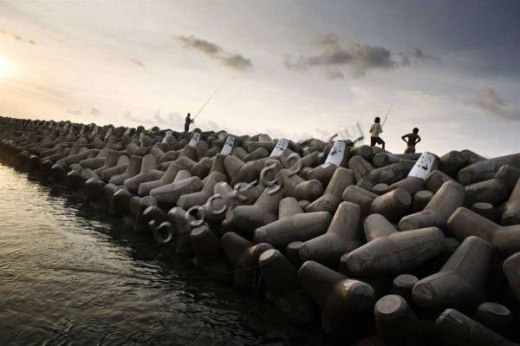 Тетрапод Т-25 Тетрапод Т-25